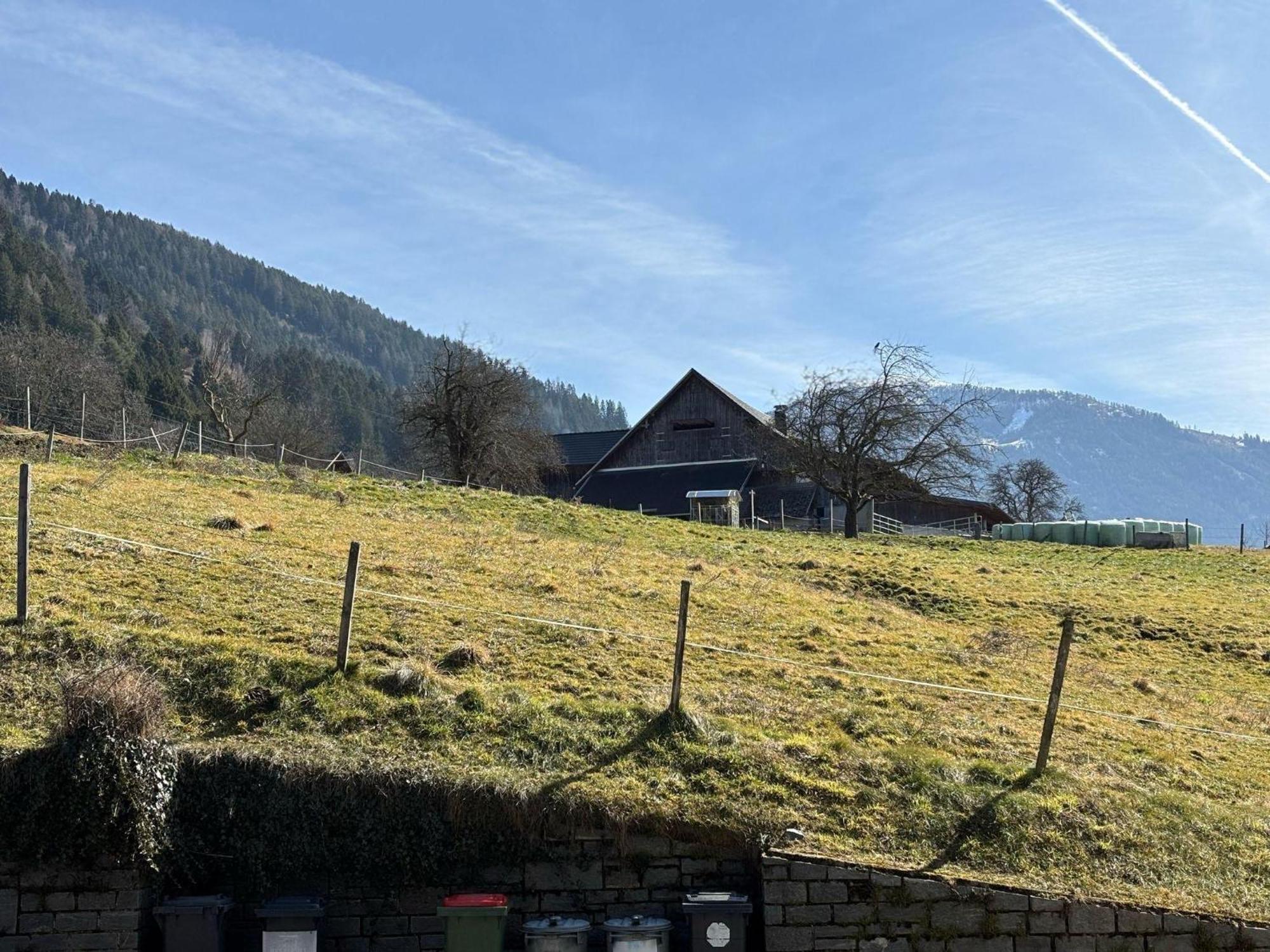 Moderne-Ferienwohnung-Nur-1Km-Vom-Millstaetter-See-In-Kaernten-Entfernt Millstatt Exterior photo