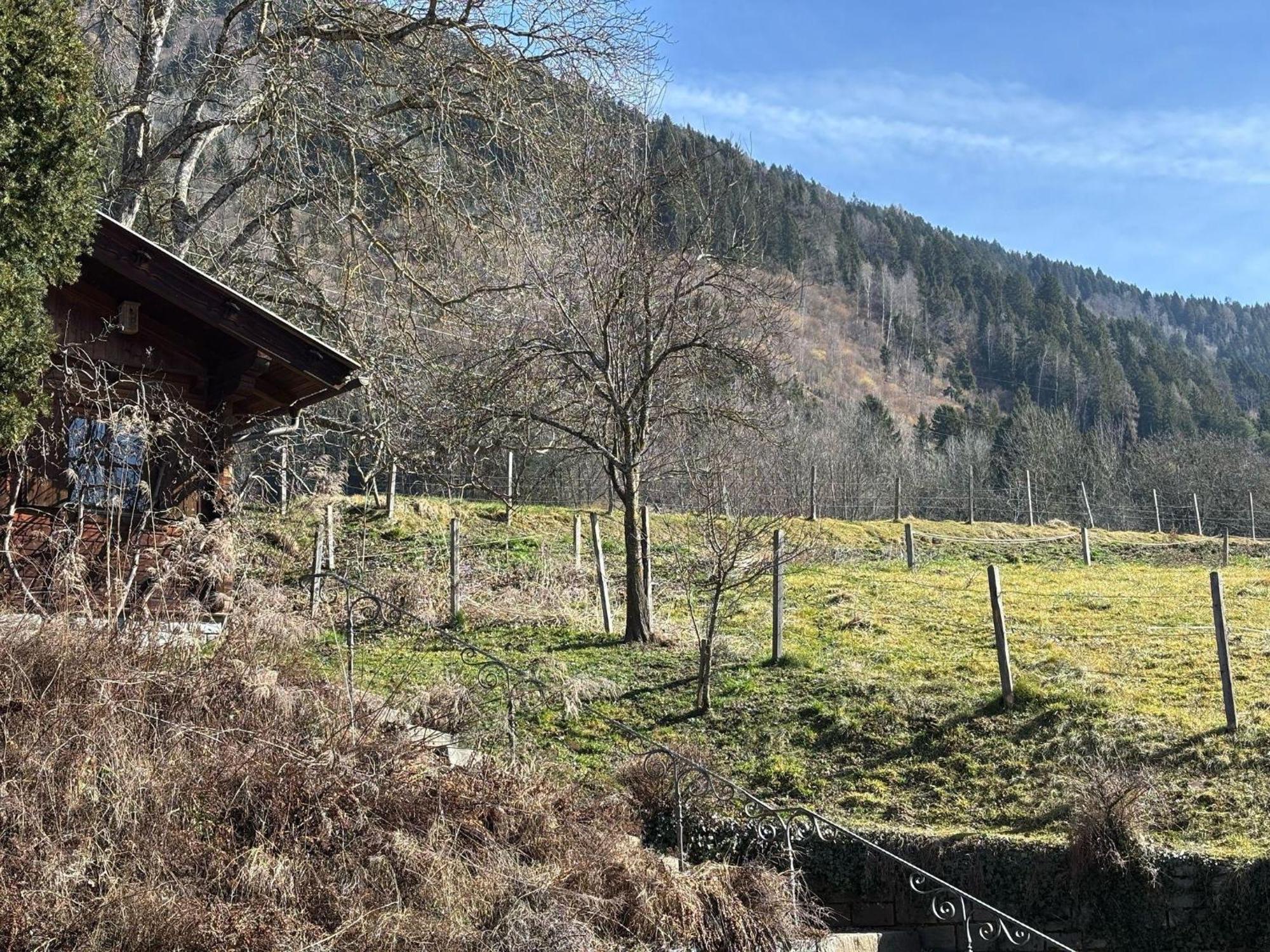 Moderne-Ferienwohnung-Nur-1Km-Vom-Millstaetter-See-In-Kaernten-Entfernt Millstatt Exterior photo